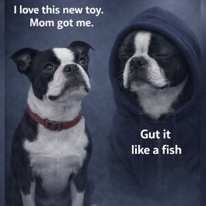 🐾🐾 💕💕🐾🐾💕💕🐾🐾💕💕🐾🐾